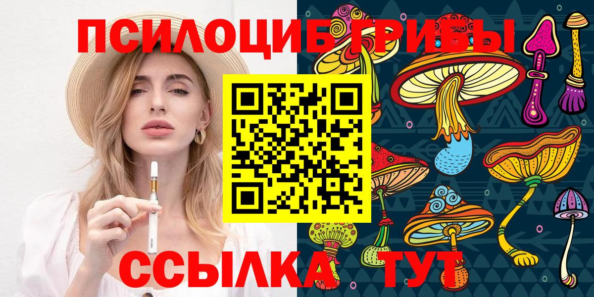 Заволжье  Галлюциногенные грибы Cubensis  Вход с VPN 