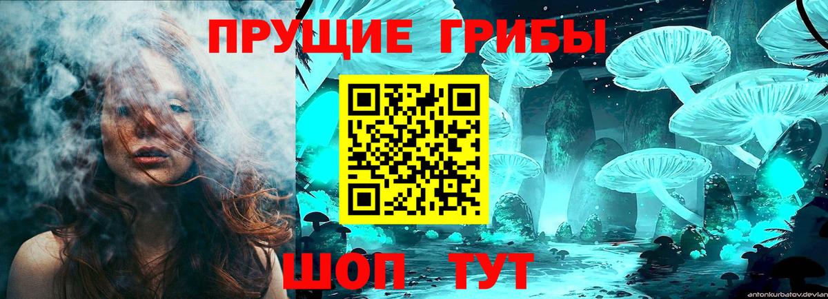 Галлюциногенные грибы прущие грибы Заволжье